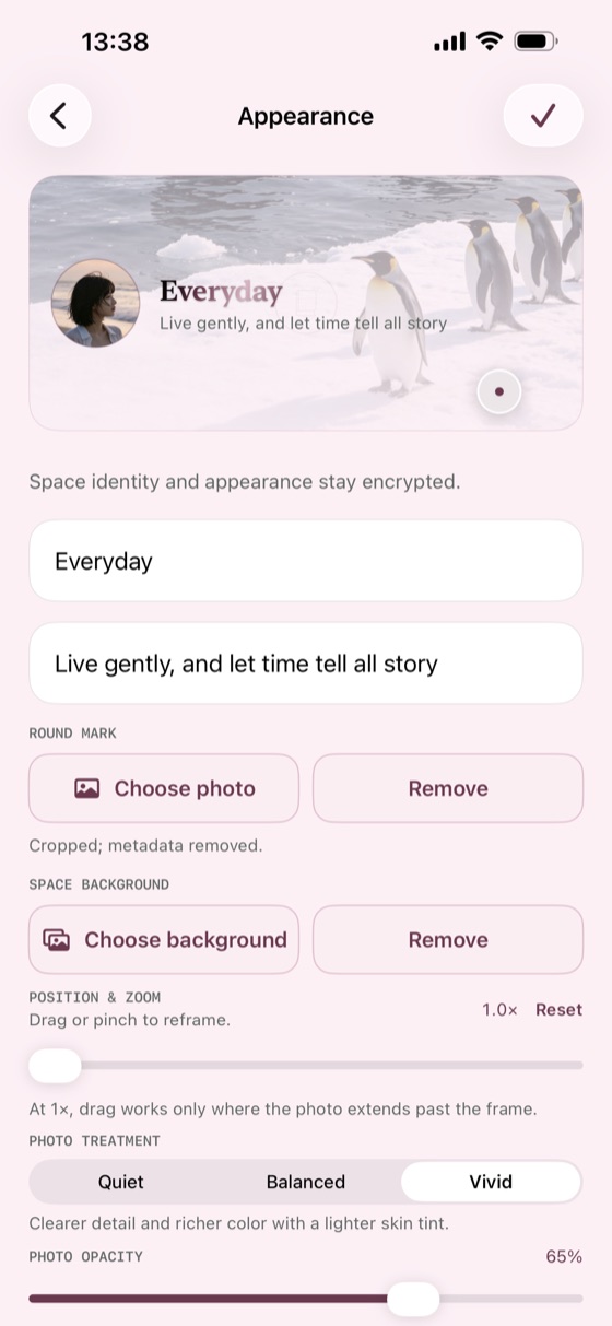 Senvra appearance editor for an encrypted space identity